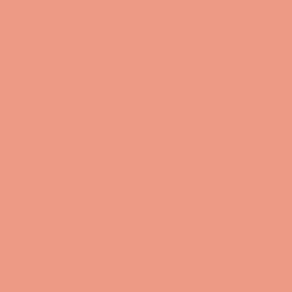 Colore Labbra Shine nude Pro